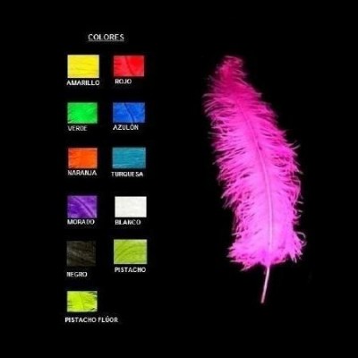 Pluma de Avestruz Espadona 60cm