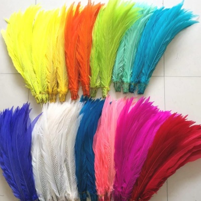 Penas coloridas em leque sobre fundo branco