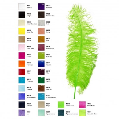 Pluma de Avestruz Fêmea 65cm