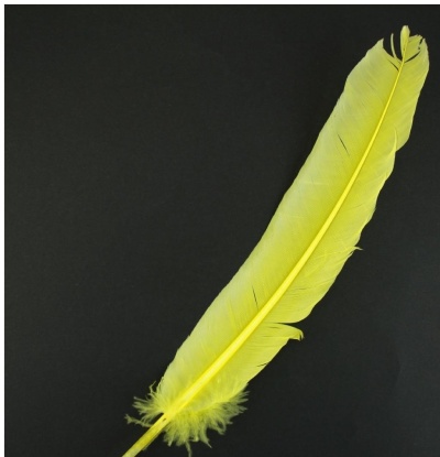 Pena de Pato com ponta enviesada 27cm