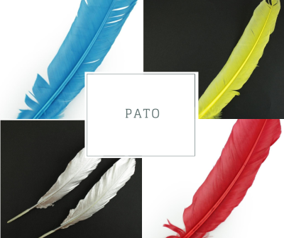 quatro penas coloridas azul amarelo branca vermelha com texto PATO no centro