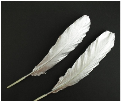 Par de plumas de pato prateadas