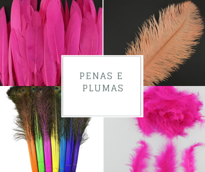Quatro tipos de penas e plumas coloridas em quadrantes, com o texto PENAS E PLUMAS no centro