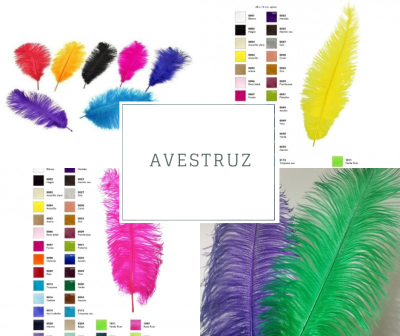 Penas coloridas grandes em várias cores com tabelas de cores e texto AVESTRUZ