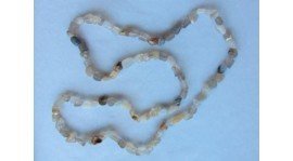 Colar de Ágata cinzenta canto redondo (42cm)