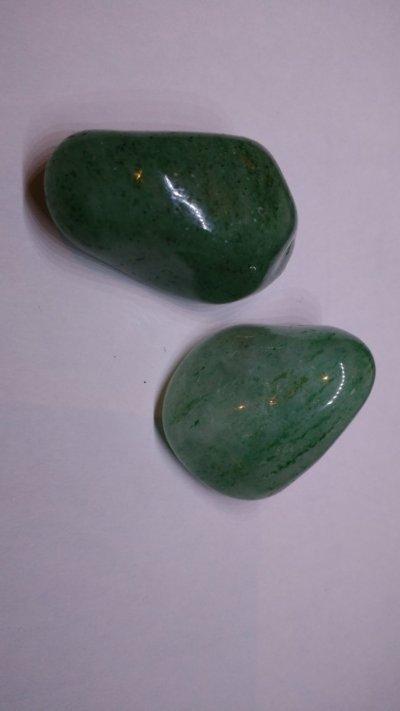 Prásio canto redondo