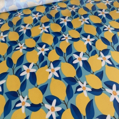 Limões - Plastificado Limões - Plastificado