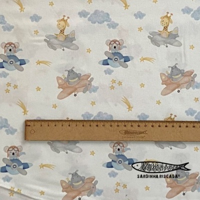 Bichinhos nas nuvens - Aviões e Balões