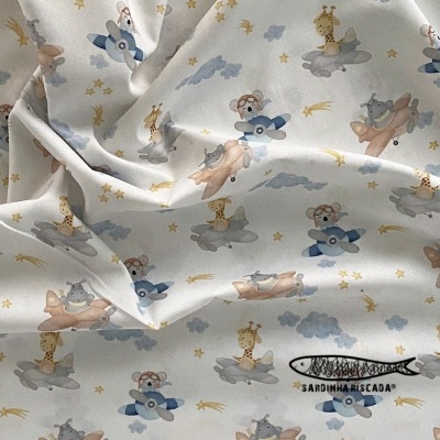 Bichinhos nas nuvens - Aviões e Balões