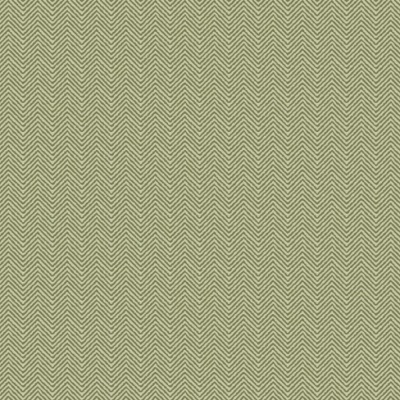 Tweed - Basic And Colors