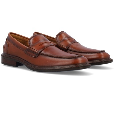 Sapato Camport New Nobleman 81215024 Camel