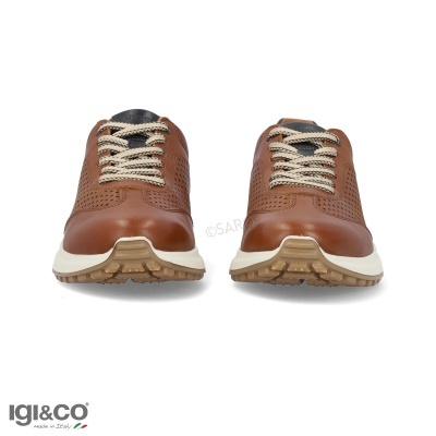 Sneakers Igi&co 7634722 Camel