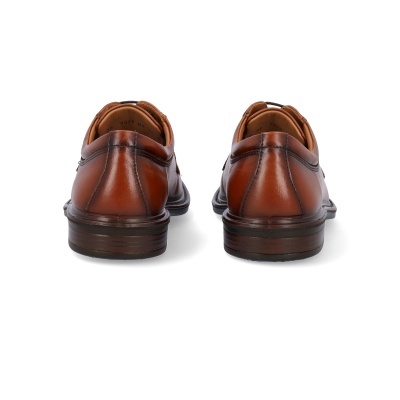 Sapato Camport New Nobleman 82423114 Camel