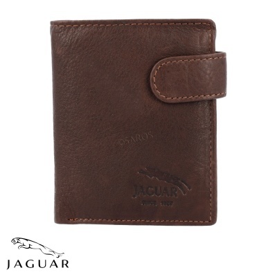 Carteira Jaguar Bronx 1691 Castanho