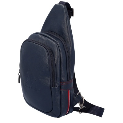 Bolsas Cavalinho de Homem 18150416 Azul