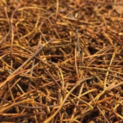 Infusão Pés de Cereja 100g