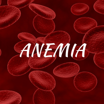 Anemia: como alimentar o organismo?