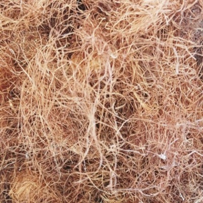 Infusão Barba de Milho 50g