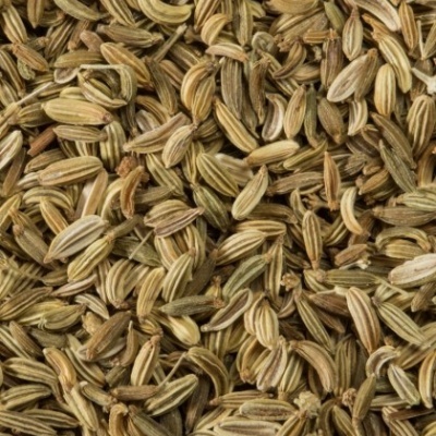 Infusão Funcho Sementes 100g