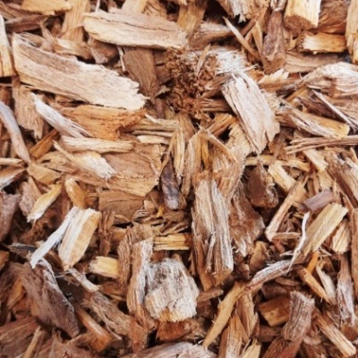 Infusão Borututu 50g