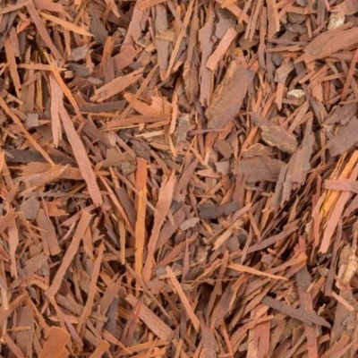 Infusão Pau D'arco  100g