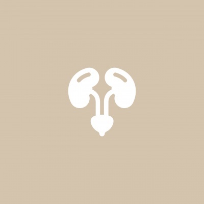 Rins e vias urinárias