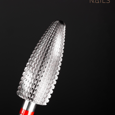 Broca de Carbono em Pinha SN03