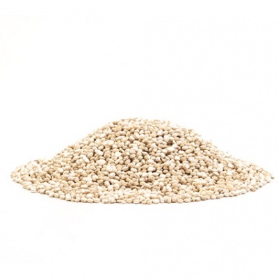 Semente de Quinoa