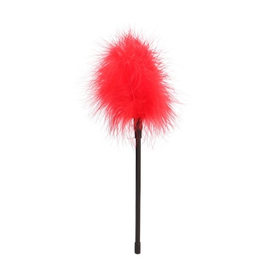 Espanador de Plumas Vermelho