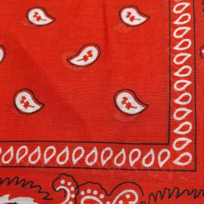 Lenço Bandana com cornucópias - Cor de Laranja Escuro