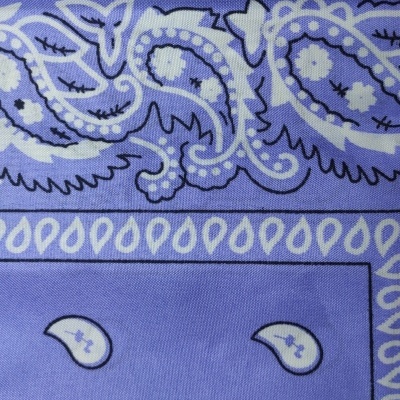 Lenço Bandana com cornucópias - Violeta