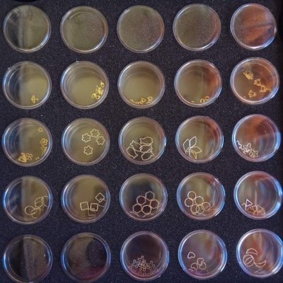 Caixa para Nail Art com 25 rodinhas