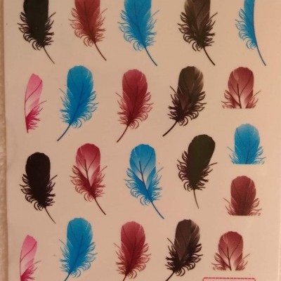 Decalques Penas Cores 1715