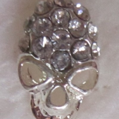 Caveira Prateada com brilhantes na cabeça - 1 unidade