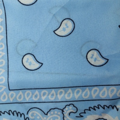 Lenço Bandana com cornucópias - Azul Claro