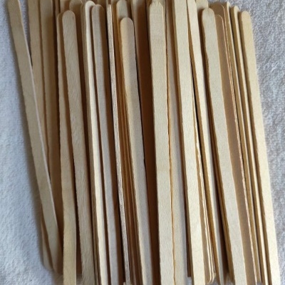 Espátulas Pequenas - 100 Unidades