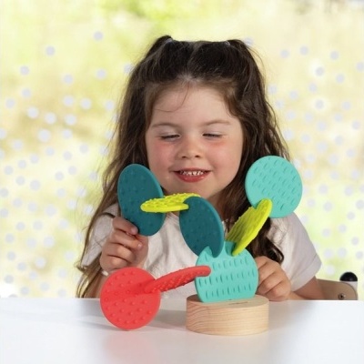 Jogo Encaixe Cato Sensorial