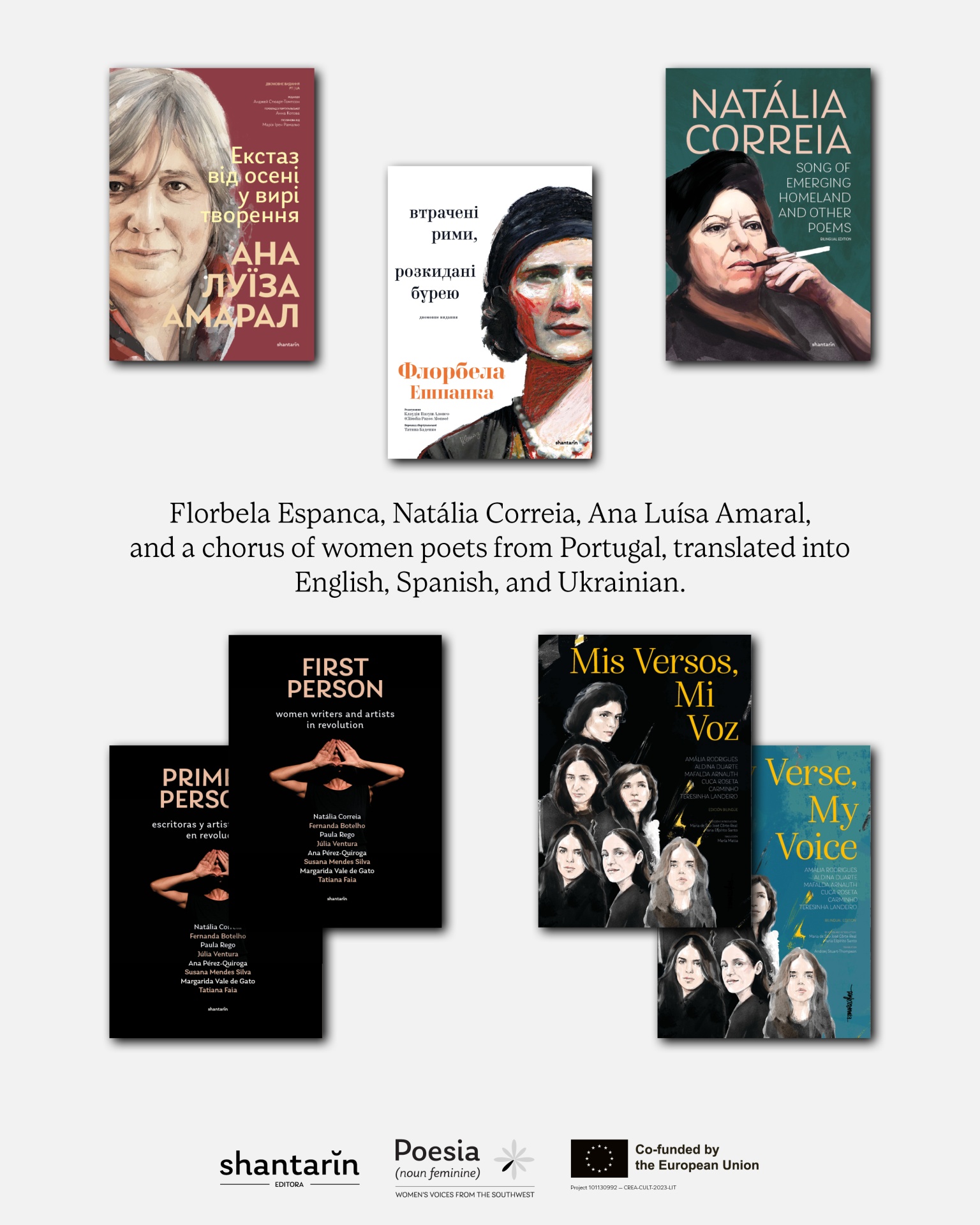 Banner POESIA Noun Feminine