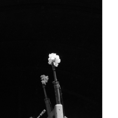 The Portuguese Carnation Revolution. Historical Essay The Portuguese Carnation Revolution. Historical Essay