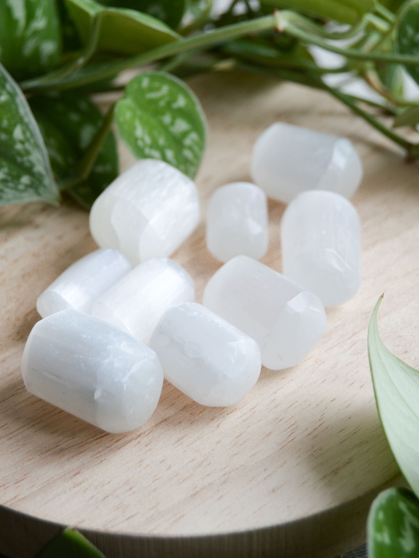 BOMBOM&#x20;DE&#x20;SELENITE