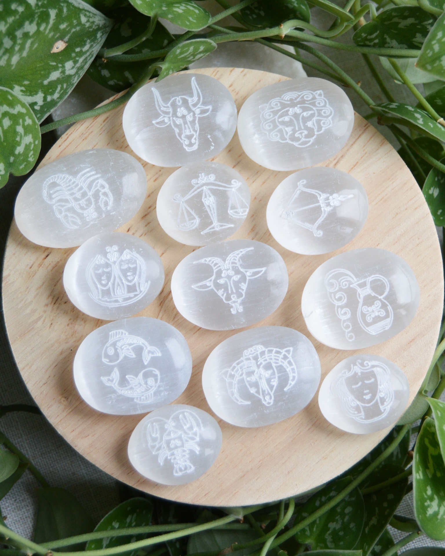 PALM&#x20;SELENITE&#x20;SIGNO