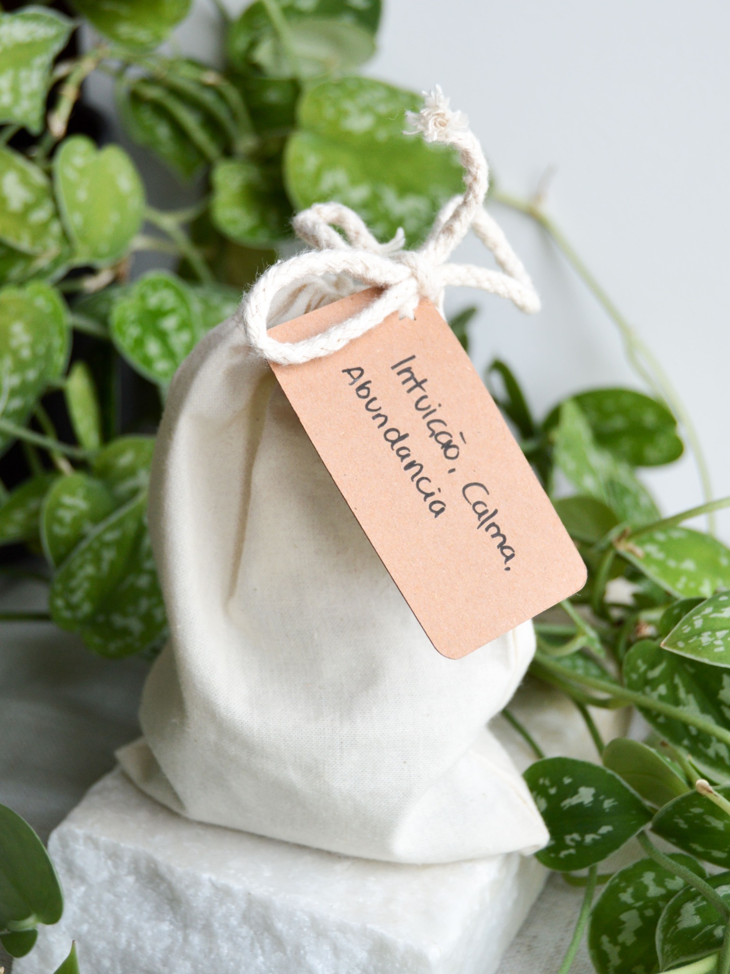 SACO&#x20;MIST&#x00C9;RIO