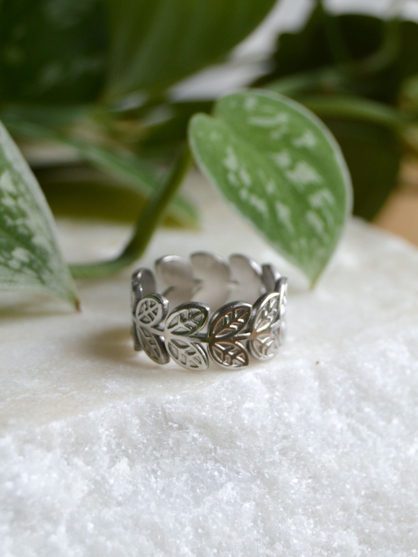 ANEL&#x20;A&#x00C7;O&#x20;INOXID&#x00C1;VEL&#x20;AJUST&#x00C1;VEL