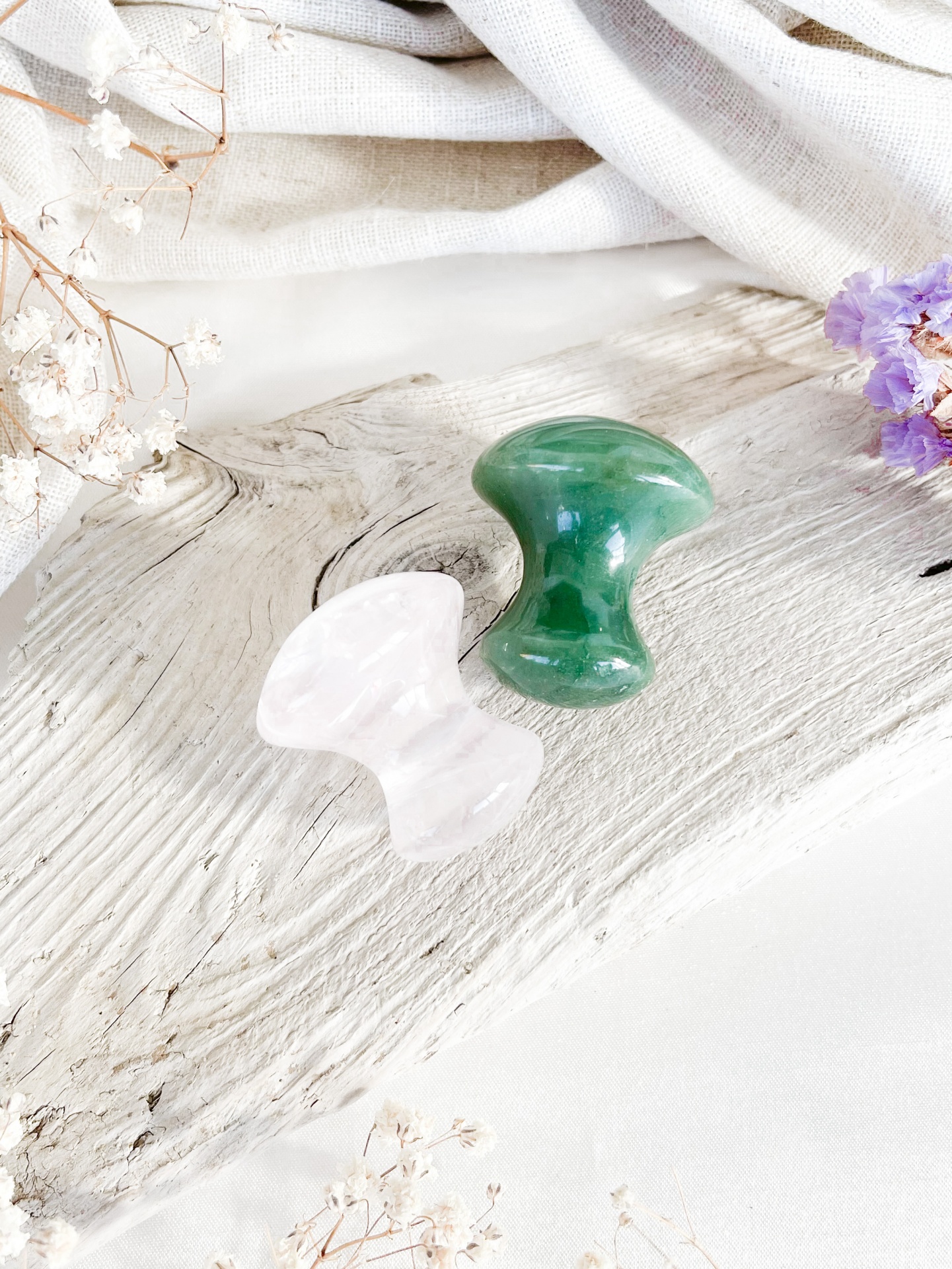 COGUMELOS&#x20;GUA&#x20;SHA