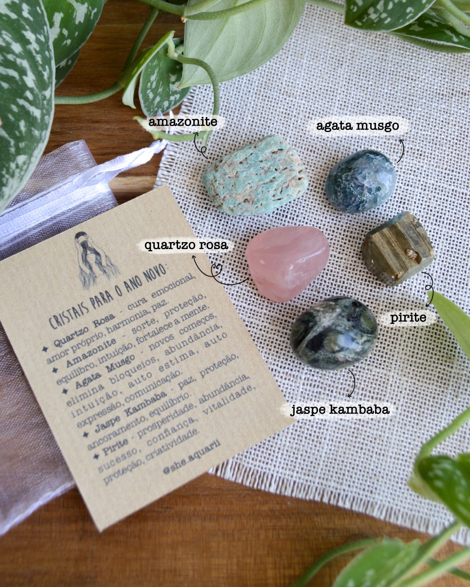 PACK&#x20;ANO&#x20;NOVO