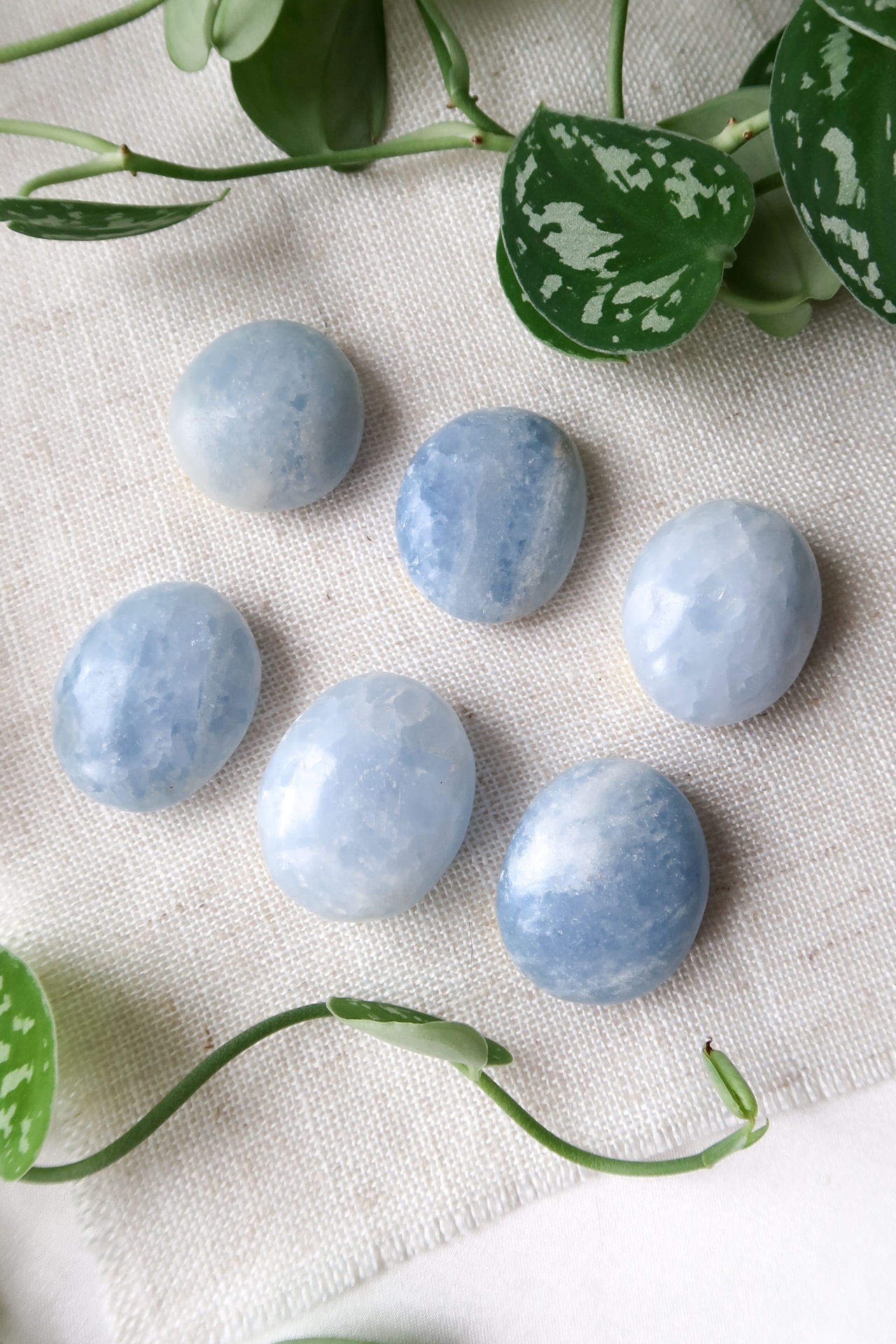 PALM CALCITE AZUL