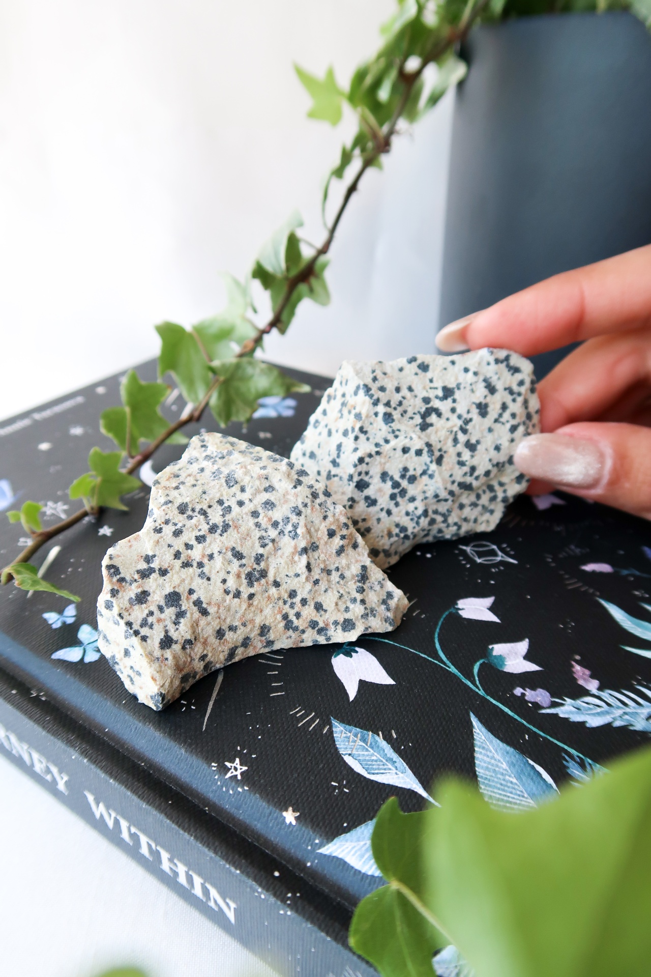 Duas pedras granito cinzentas com manchas negras sobre livro preto decorado e planta