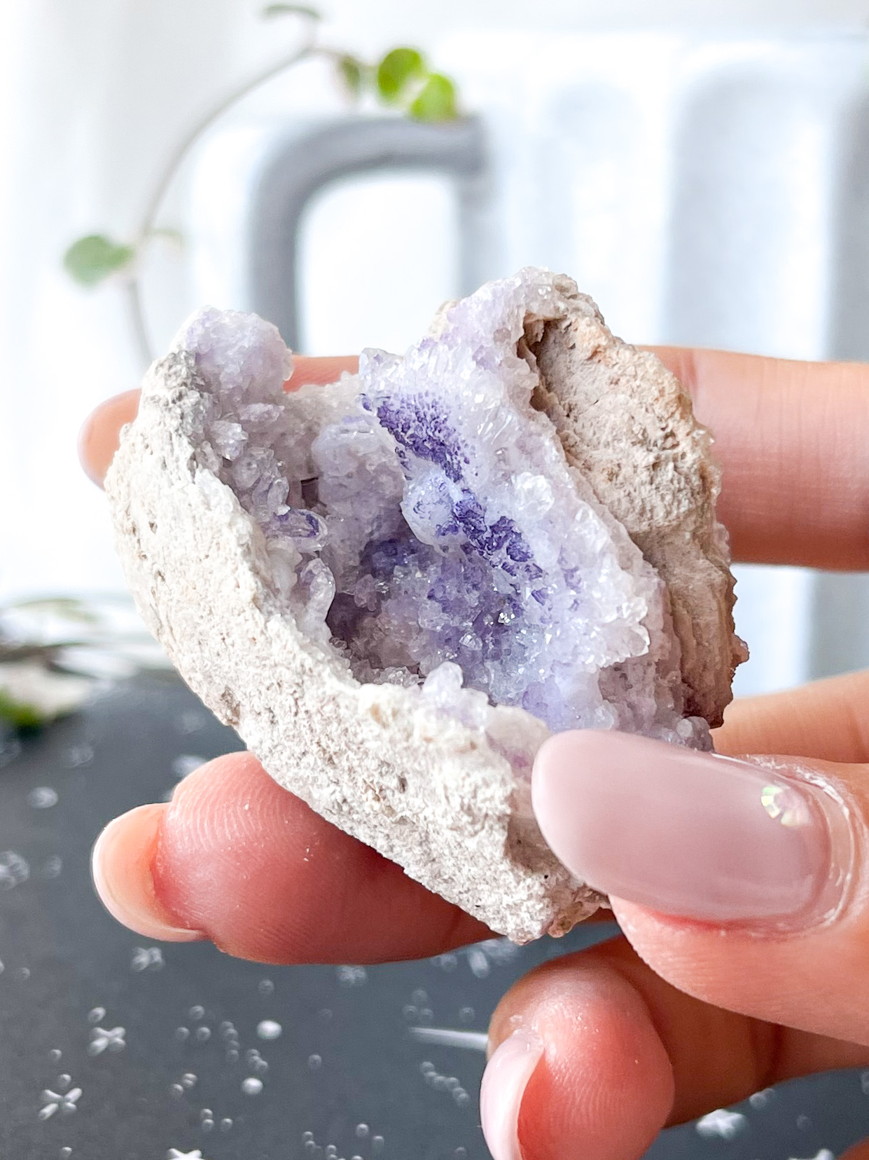 GEODO&#x20;SPIRIT&#x20;FLOWER&#x20;MEDIA