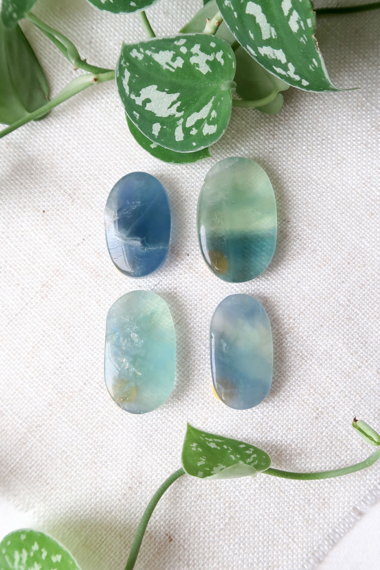PALM FLUORITE