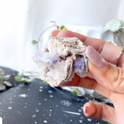 GEODO&#x20;SPIRIT&#x20;FLOWER&#x20;MEDIA